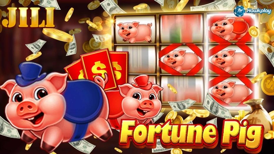 Features of fortune pig